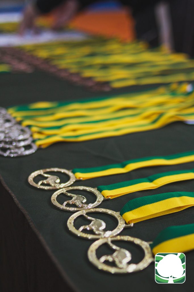 MEDALHAS OLIMPÍADA CANGURU – 2025