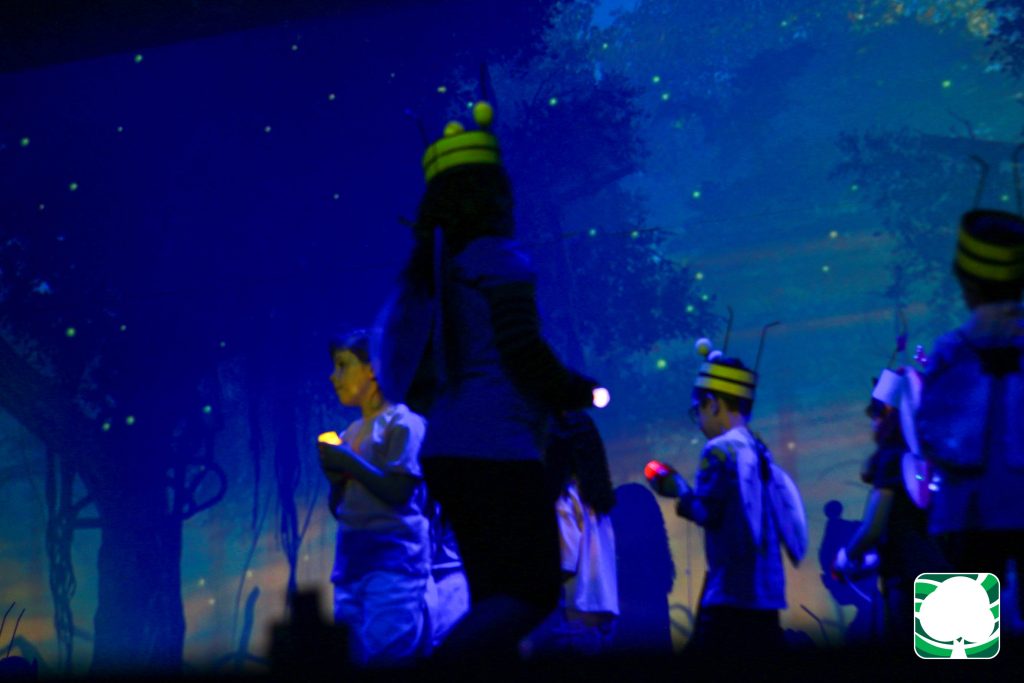 InterArtes 2025 – Espetáculo do 1º Ano